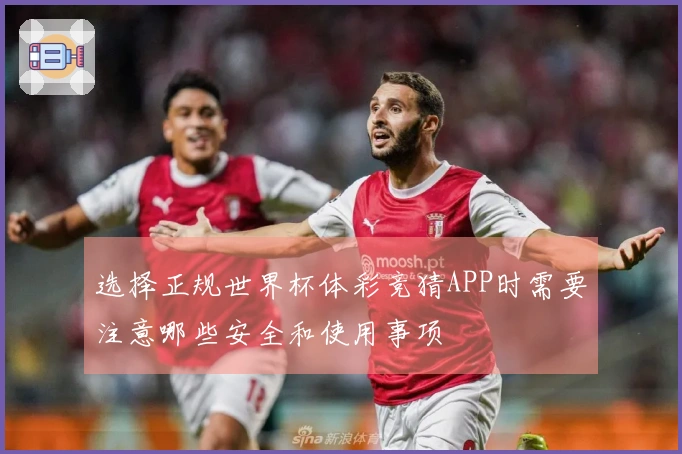 选择正规世界杯体彩竞猜APP时需要注意哪些安全和使用事项