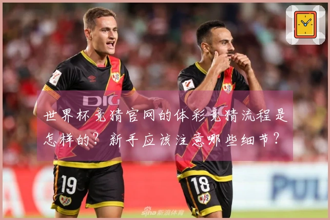 世界杯竞猜官网的体彩竞猜流程是怎样的？新手应该注意哪些细节？