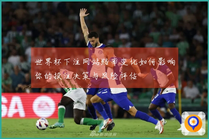 世界杯下注网站赔率变化如何影响你的投注决策与风险评估